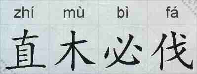 直木必伐的拼音