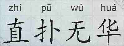 直扑无华的拼音