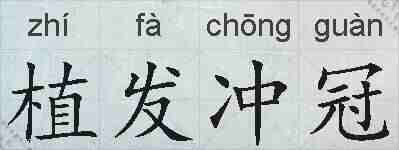 植发冲冠的拼音