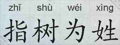指树为姓的拼音