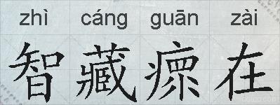 智藏瘝在的拼音