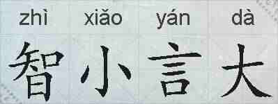 智小言大的拼音