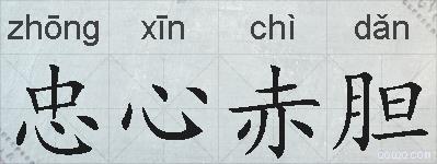 忠心赤胆的拼音