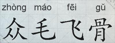 众毛飞骨的拼音