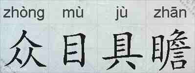 众目具瞻的拼音