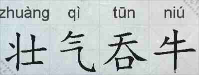 壮气吞牛的拼音