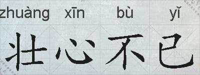 壮心不已的拼音