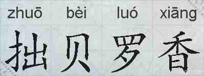 拙贝罗香的拼音