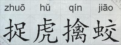 捉虎擒蛟的拼音