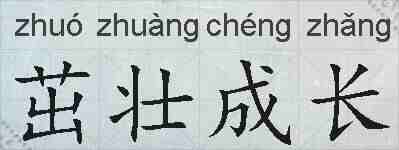 茁壮成长的拼音