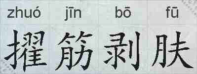 擢筋剥肤的拼音