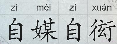 自媒自衒的拼音