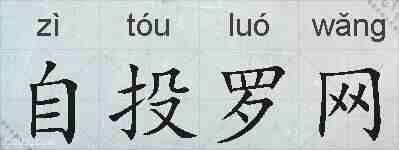 自投罗网的拼音