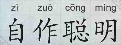自作聪明的拼音