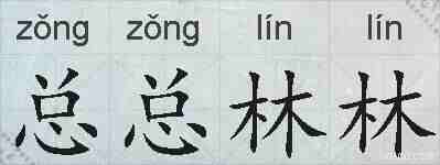总总林林的拼音