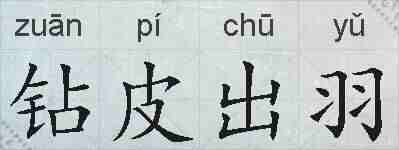 钻皮出羽的拼音