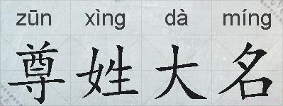 尊姓大名的拼音