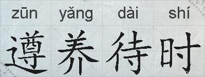 遵养待时的拼音