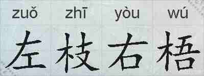 左枝右梧的拼音