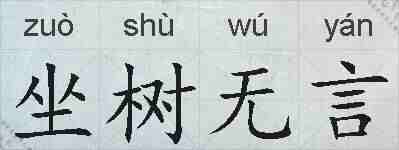 坐树无言的拼音