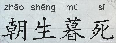 朝生暮死的拼音