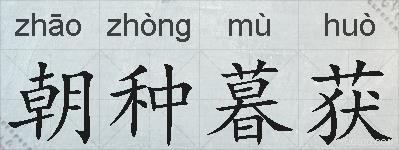 朝种暮获的拼音
