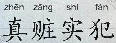 真赃实犯的拼音