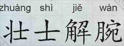 壮士解腕的拼音