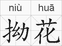 拗花的拼音