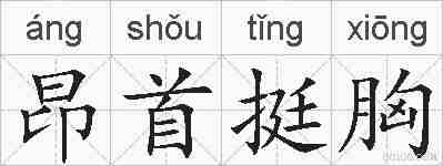 昂首挺胸的拼音