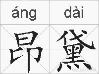 昂黛的拼音