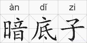 暗底子的拼音