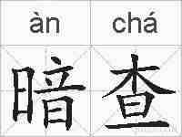 暗查的拼音