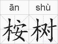 桉树的拼音