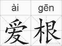 爱根的拼音