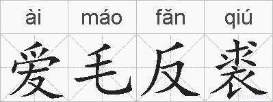 爱毛反裘的拼音