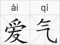爱气的拼音