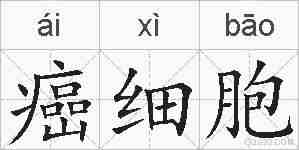 癌细胞的拼音