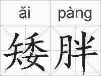 矮胖的拼音