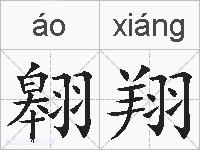翱翔的拼音