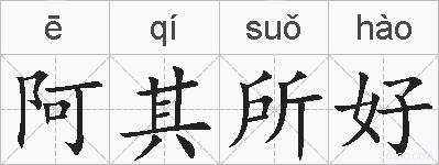 阿其所好的拼音