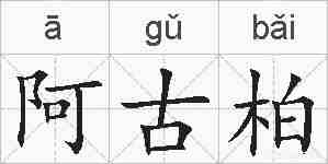 阿古柏的拼音