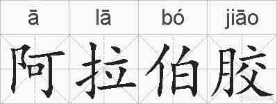 阿拉伯胶的拼音