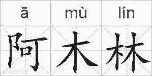 阿木林的拼音