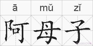 阿母子的拼音
