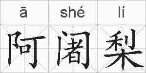 阿阇梨的拼音