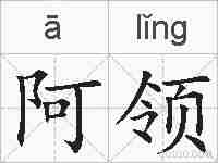 阿领的拼音