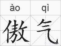 傲气的拼音
