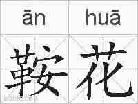 鞍花的拼音
