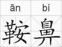 鞍鼻的拼音